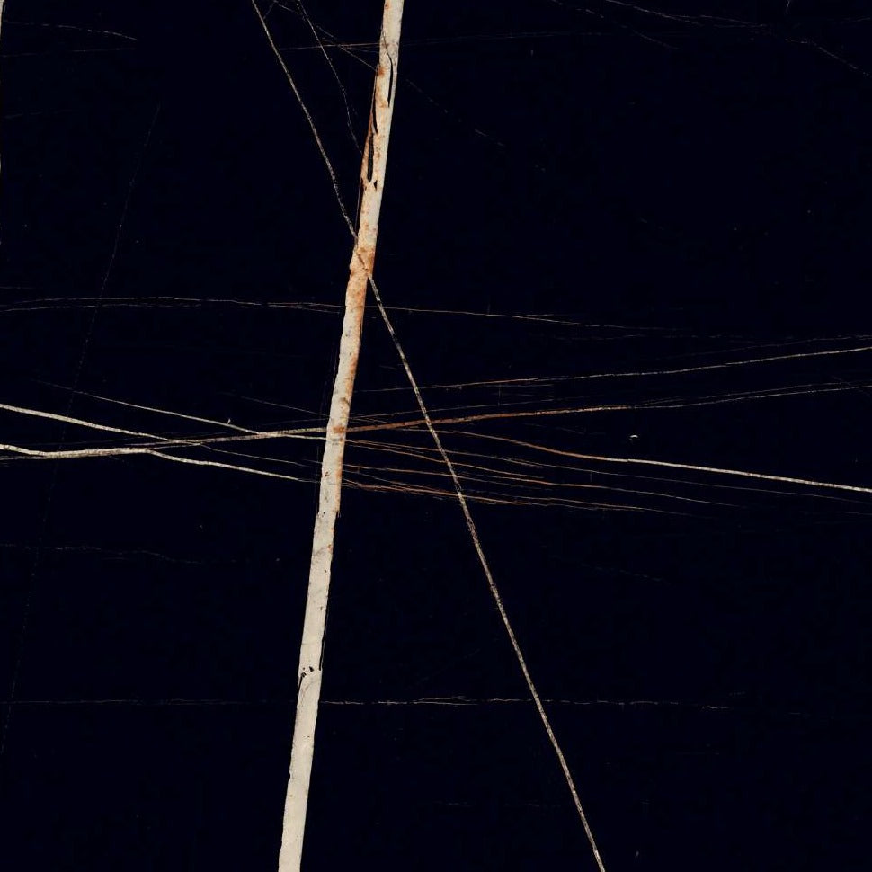 Polished Black Tiles with White lines.