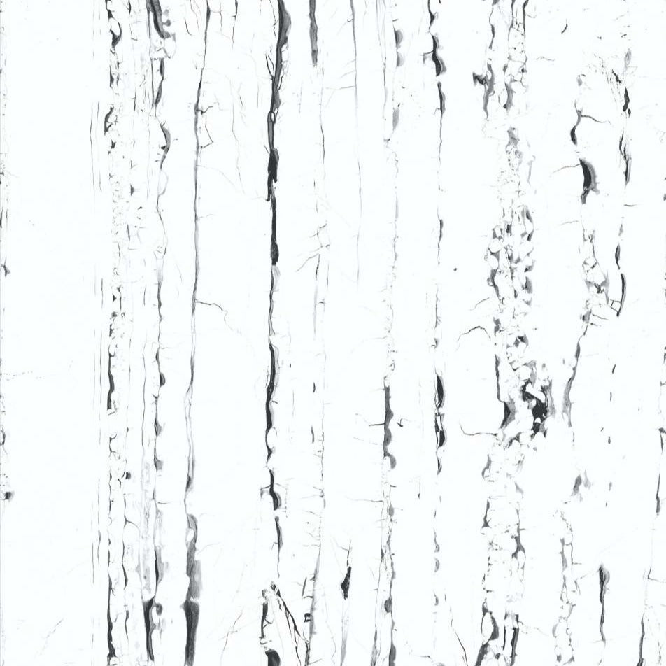 Photo of Prothro White Polished Marble tiles.