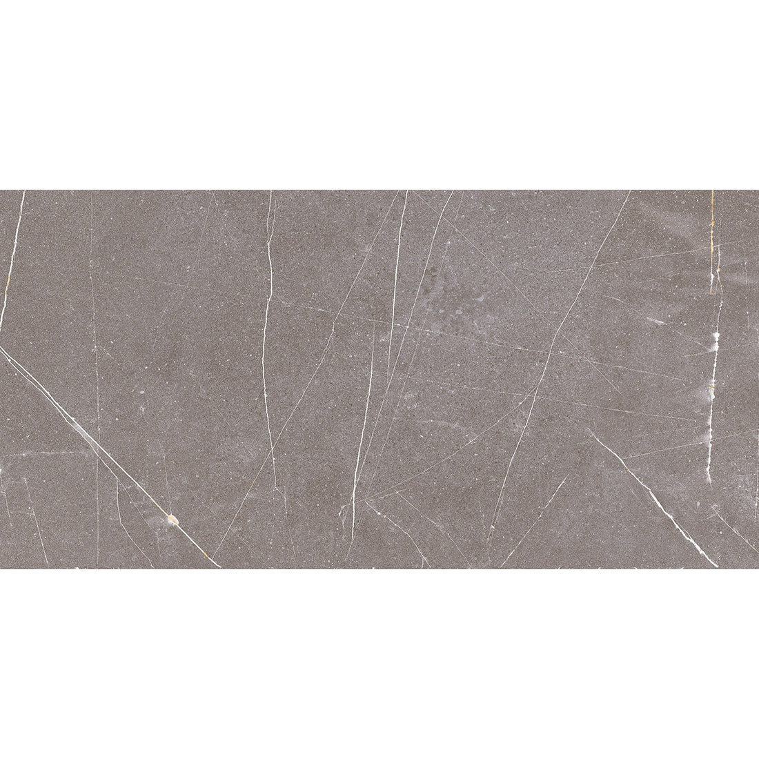 Status Gris Matt Finish Grey Porcelain Tiles