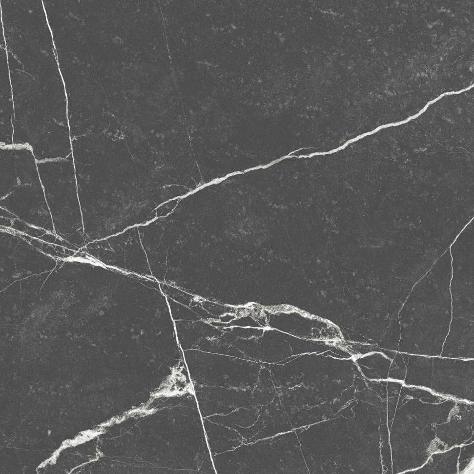 Large Format Visual Art Porcelain Wall And Floor Tiles in black and white with polished, reflective surface.