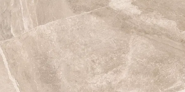 Matte beige porcelain wall and floor tiles with bold black and gold detailing.