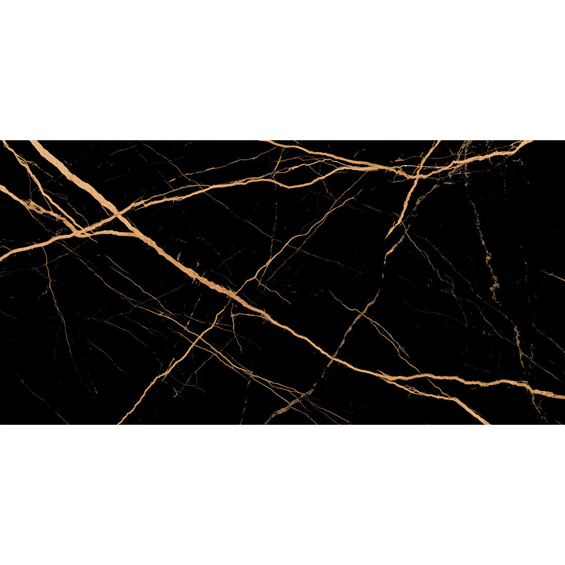 Matte black porcelain wall and floor tiles with elegant gold detailing and R9 rating.
