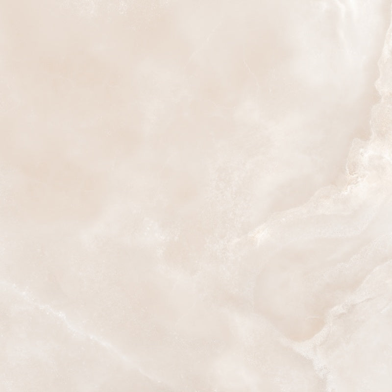 Premium glossy porcelain wall and floor tiles in elegant sepia marble finish.