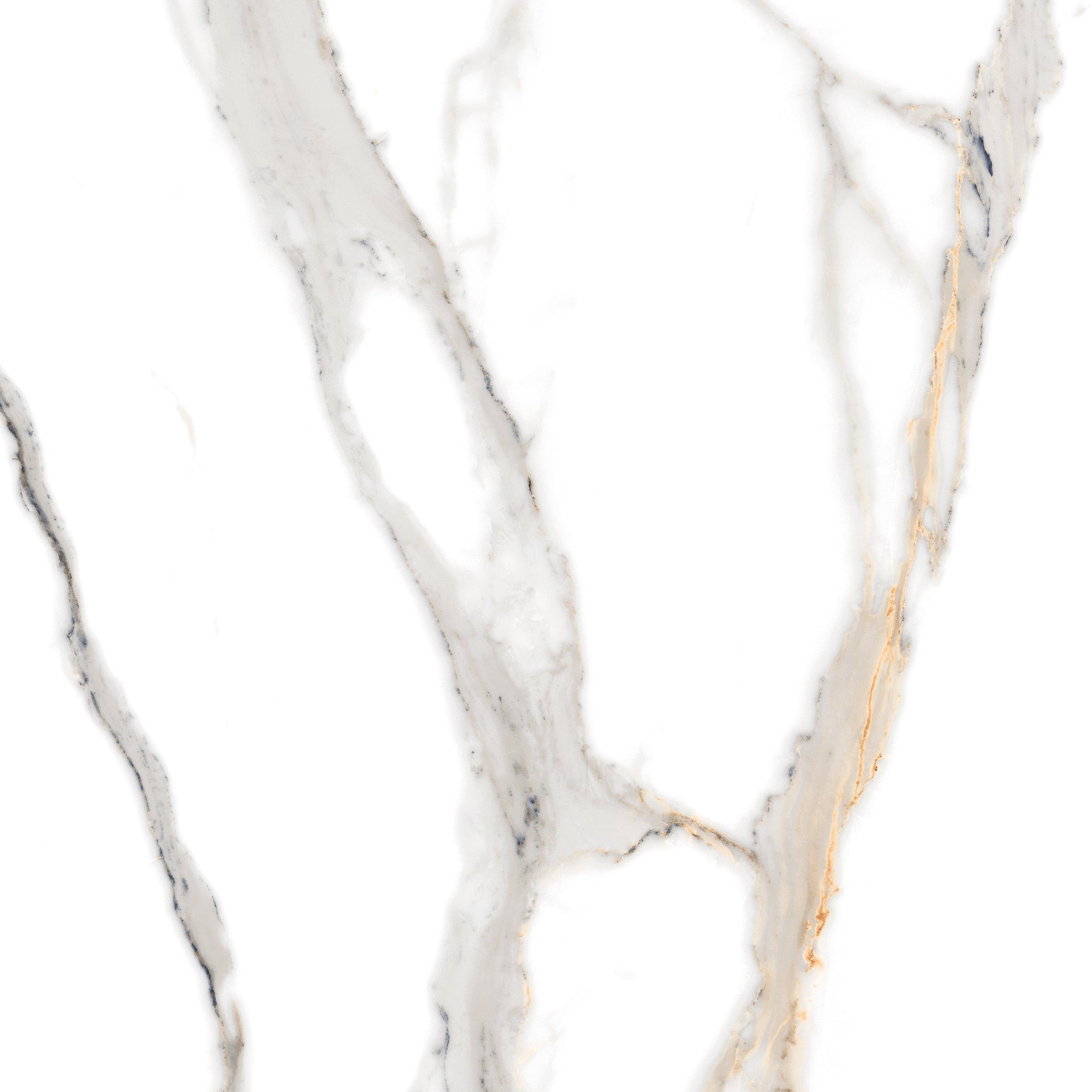 White marble porcelain wall and floor tiles with gold accents and glossy finish.
